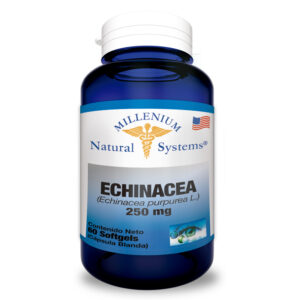 echinacea 250 mg x 60 softgels – natural system
